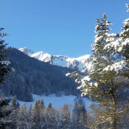 Chalet Chalet Sous Le Saix