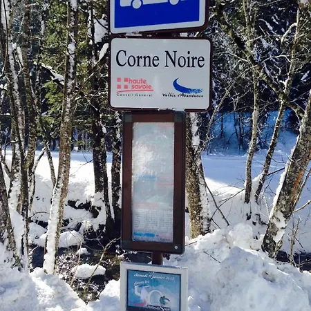 Chalet Sous Le Saix * Abondance